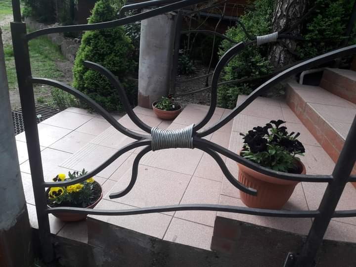 Metalowa konstrukcja z elementami dekoracyjnymi przypominającymi pająka, zabezpieczająca schody, z doniczkami z kwiatami na stopniach.