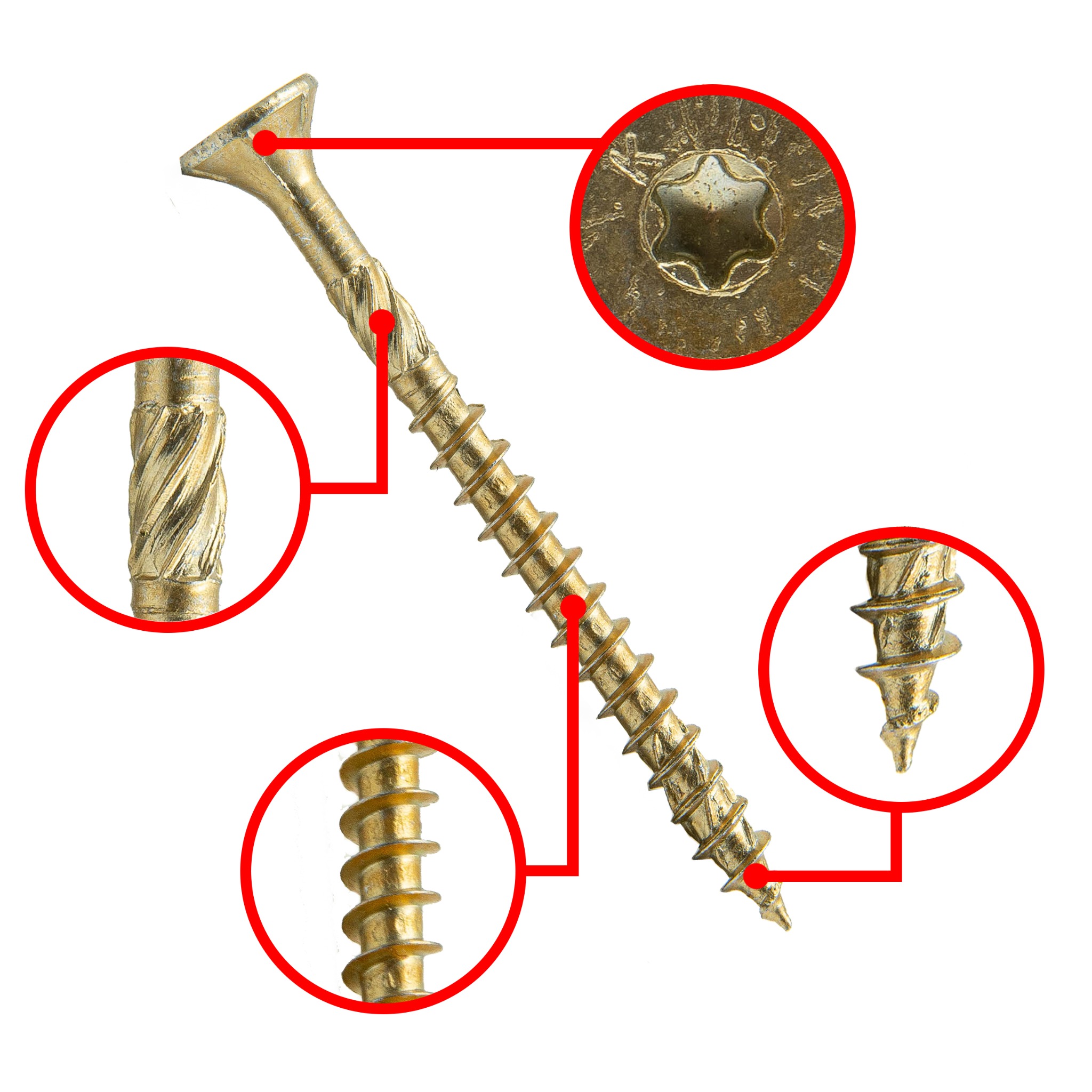 Szczegółowe ujęcie złotego wkrętu do drewna z widocznymi gwintami, gniazdem Torx i frezem nacinającym, na białym tle.