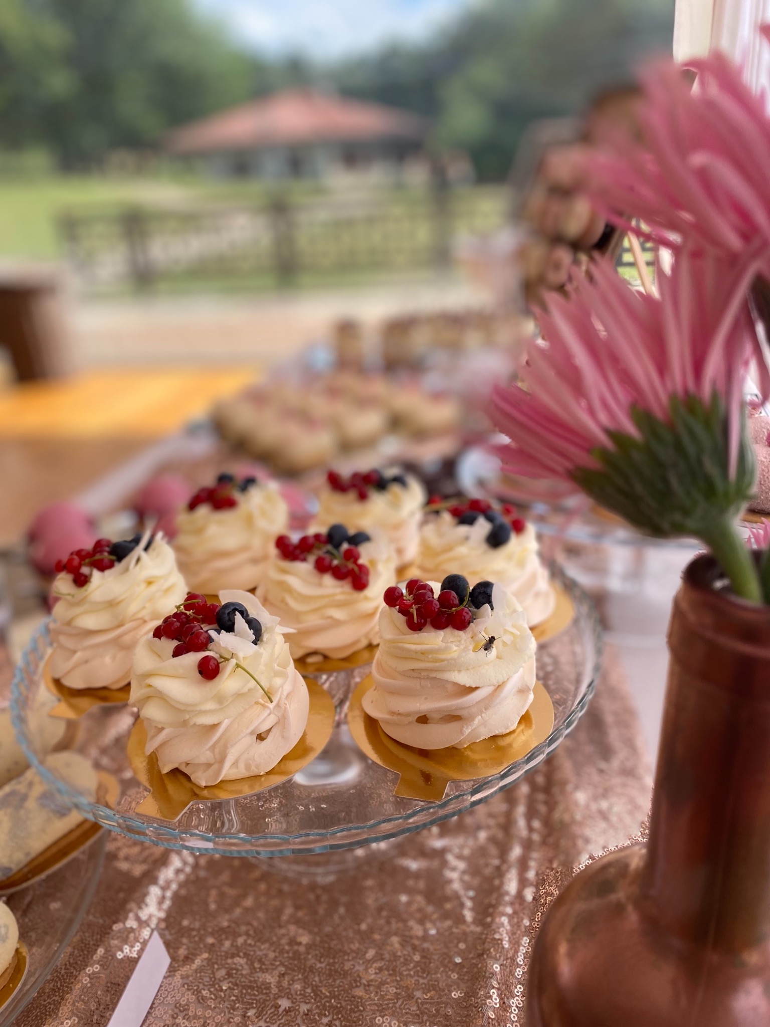 Elegancko podane mini bezy z kremem i owocami (czerwona porzeczka, borówka) na szklanym paterze, różowy kwiat w wazonie obok, w tle rozmyty krajobraz.