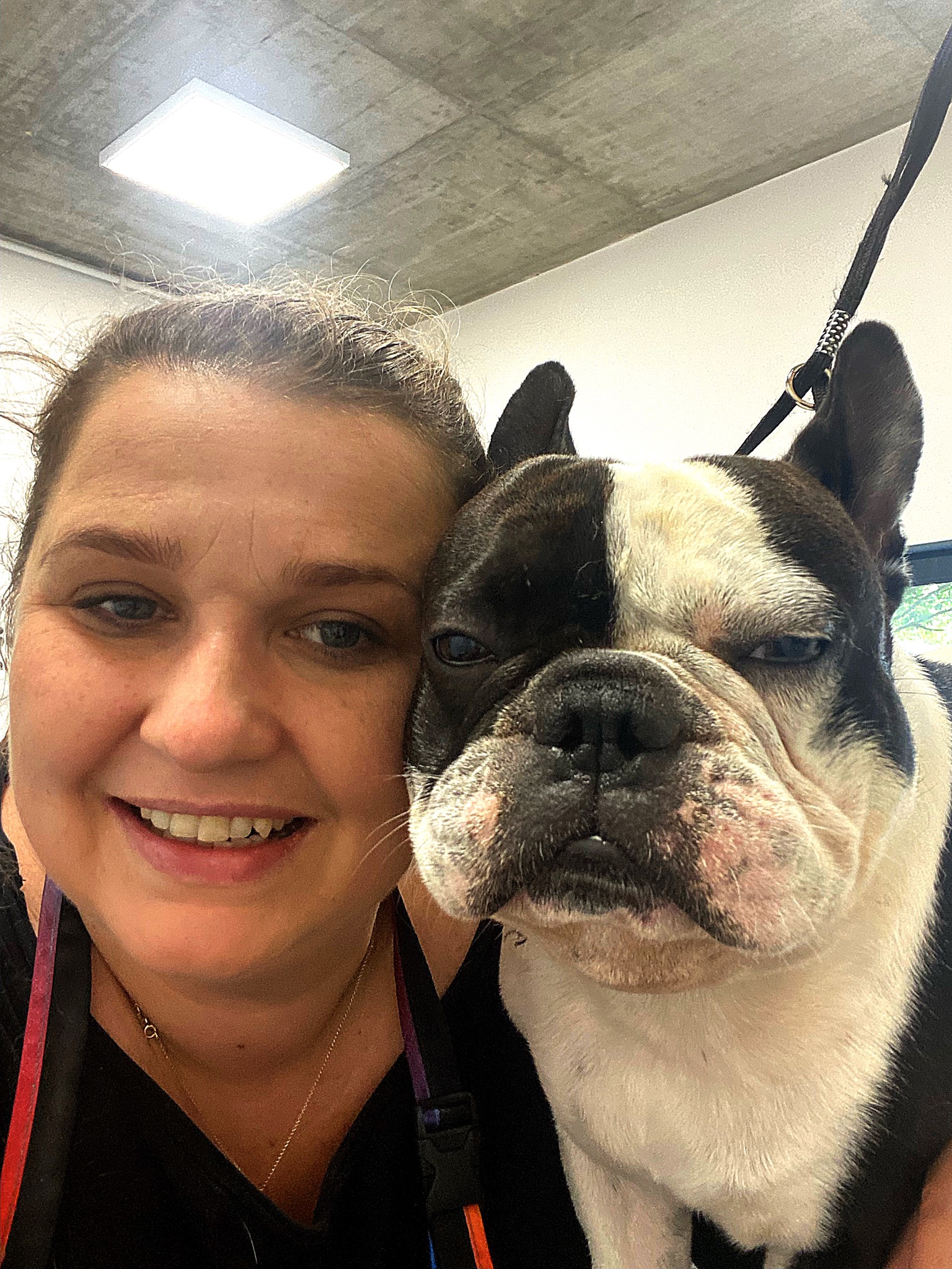 Portret uśmiechniętej kobiety z psem rasy Boston Terrier w salonie, pies ma czarno-białą sierść i skórzaną smycz