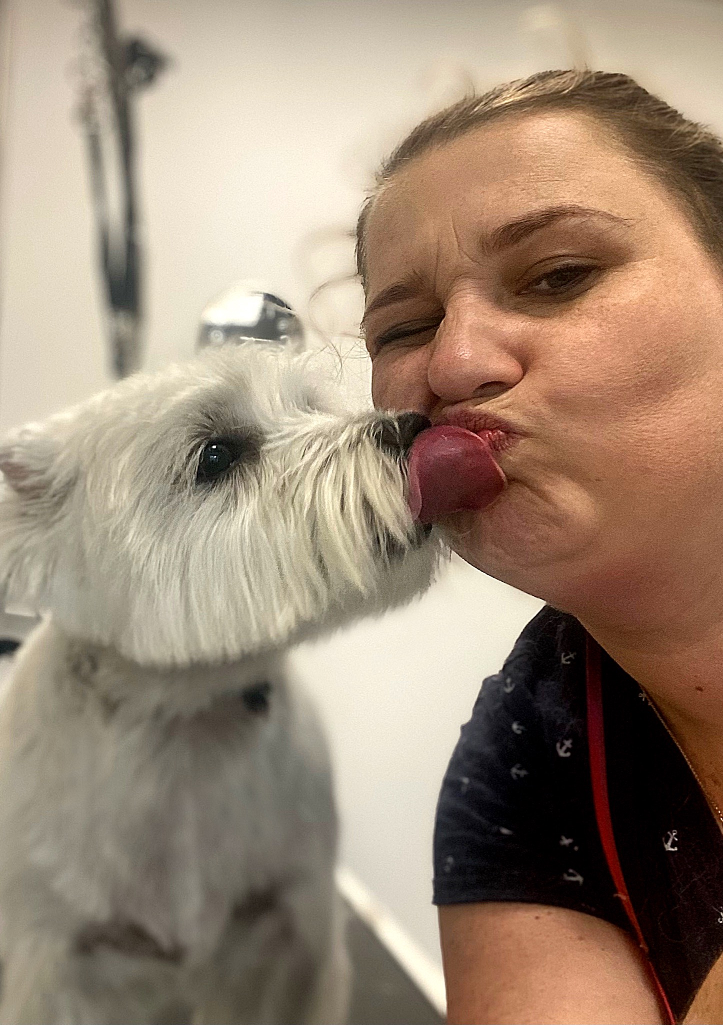 Kobieta z przymrużonym okiem całuje białego psa rasy West Highland White Terrier w pysk, w tle widoczne narzędzia fryzjerskie.