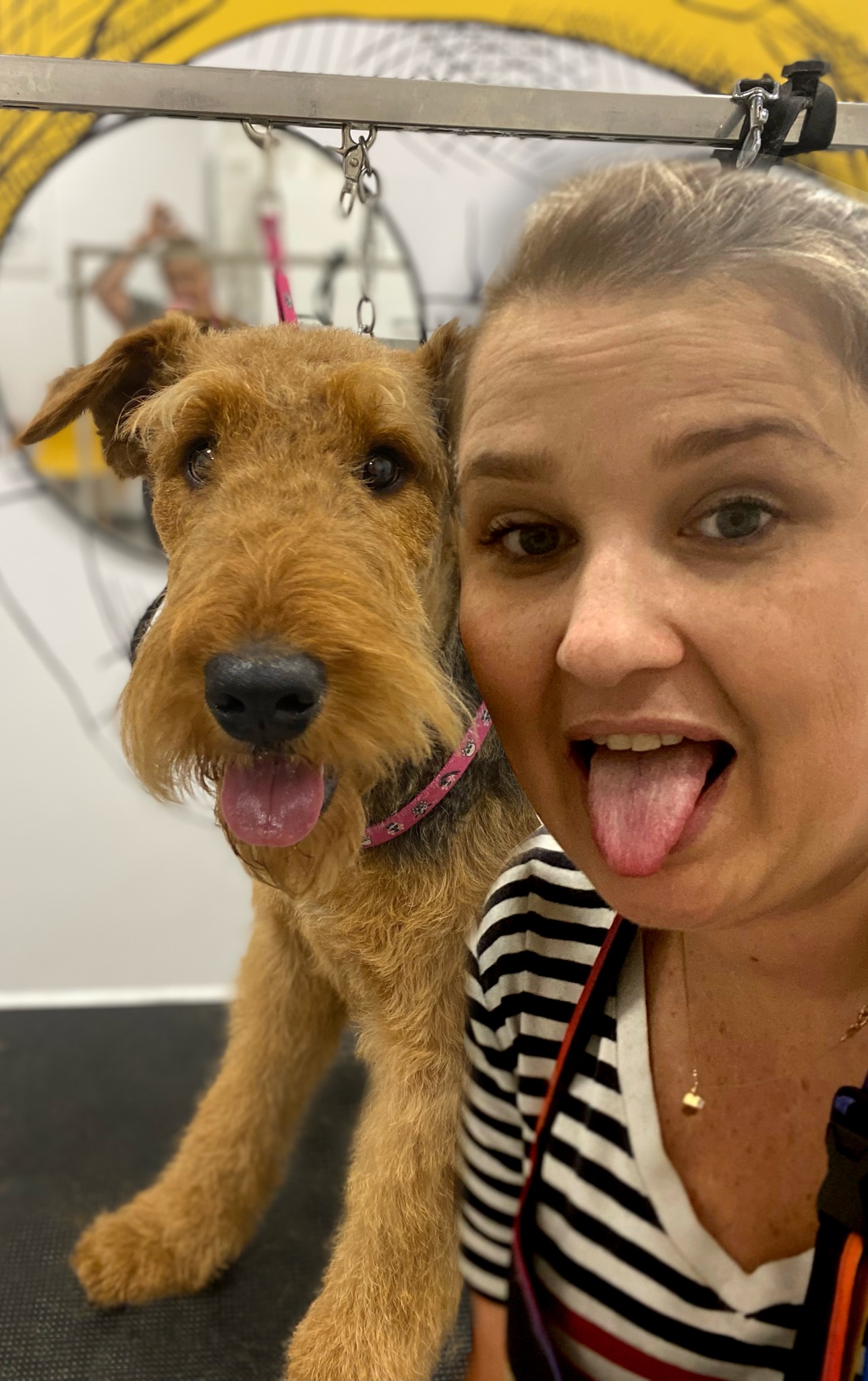 Wesoła kobieta z wyciągniętym językiem pozuje do selfie z psem rasy Airedale Terrier, który ma założoną różową obrożę, w tle widoczne stanowisko do pielęgnacji zwierząt.