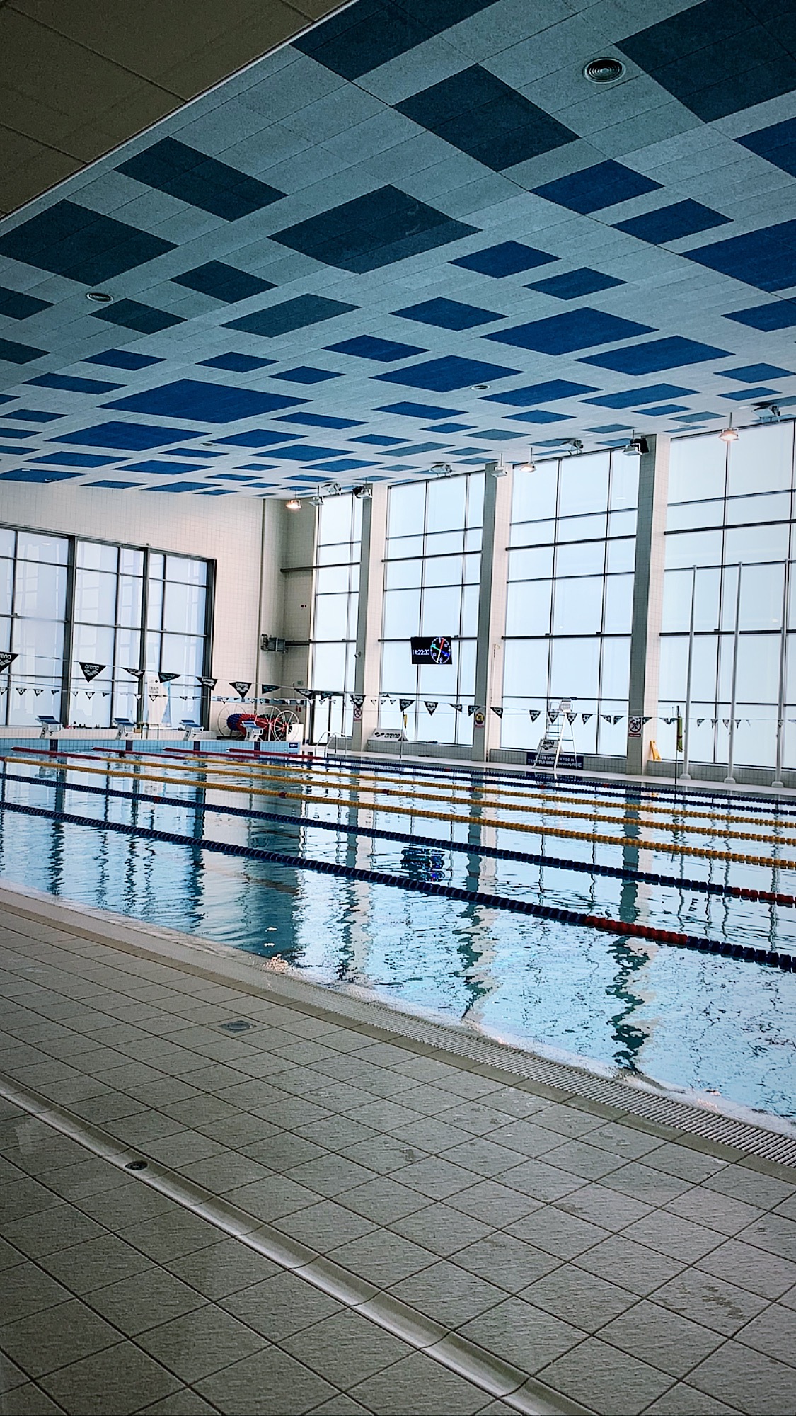 Kryty basen sportowy z wyznaczonymi torami, widok na płytki brzeg i dekoracyjny sufit z niebieskimi kwadratami.