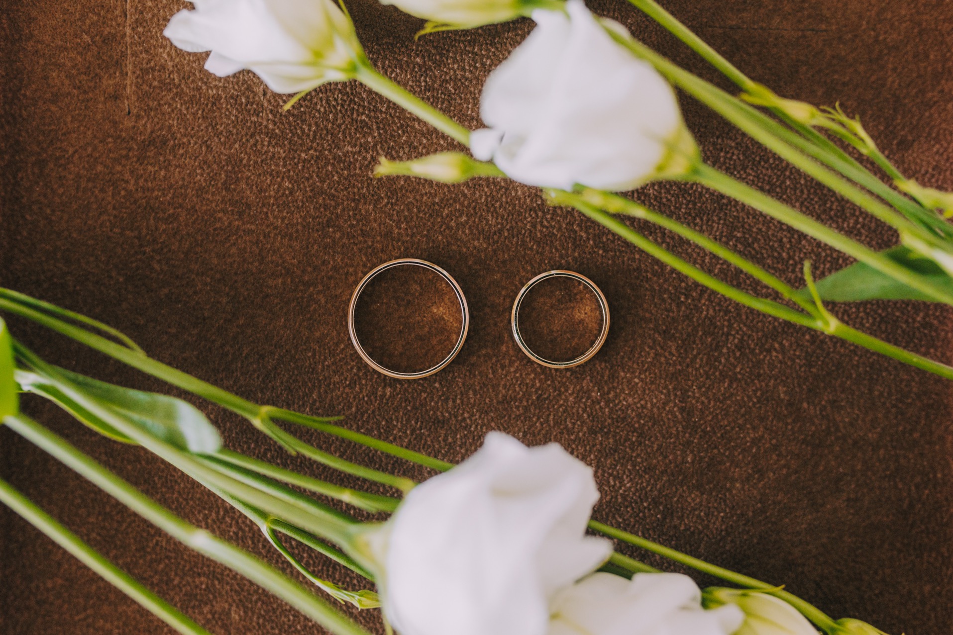 Dwa złote pierścionki ślubne otoczone białymi kwiatami na brązowym tle.
