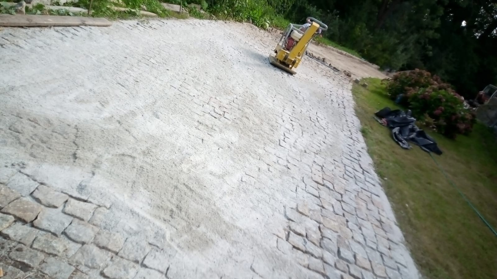 Żółta zagęszczarka wibrująca ubija świeżo ułożoną, jasnoszarą kostkę brukową na podjeździe, widok z boku, zieleń w tle.