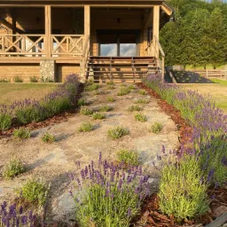 Kamienny chodnik prowadzący do drewnianego domu z werandą, obsadzony lawendą i korą, z widocznym fragmentem trawnika i drzew w tle.
