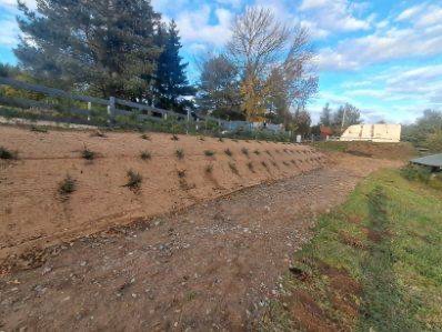 Ukształtowany teren z nasadzeniami na zboczu, zabezpieczony siatką. Widok na nowo założony ogród z młodymi roślinami i elementami krajobrazu.