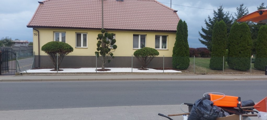 Żółty dom z zadbanym ogrodem: kuliste krzewy, tuje i białe kamienie ozdobne. Widoczne narzędzia ogrodnicze sugerują świeżo wykonane prace.