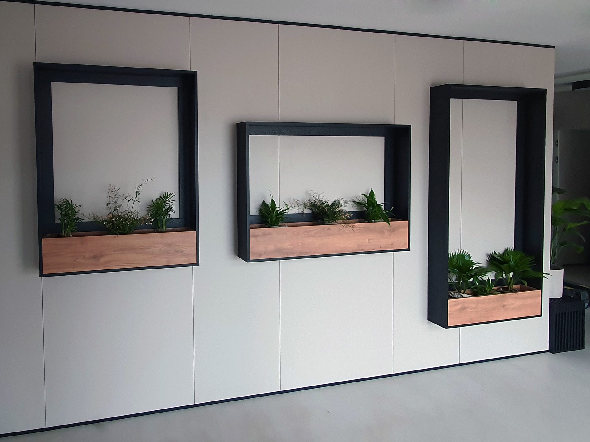 Białe panele ścienne z trzema wnękami obramowanymi czarną ramą, w których umieszczono drewniane skrzynki z zielonymi roślinami.