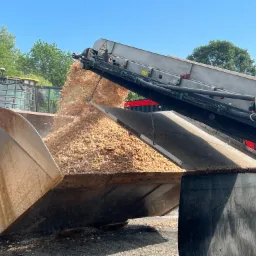 Żółta ładowarka Volvo wypełniana zrębkami drzewnymi za pomocą podajnika taśmowego na tle zielonych drzew i błękitnego nieba.