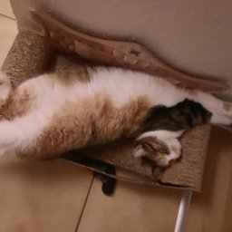 Montaż bram Drawsko Pomorskie 1