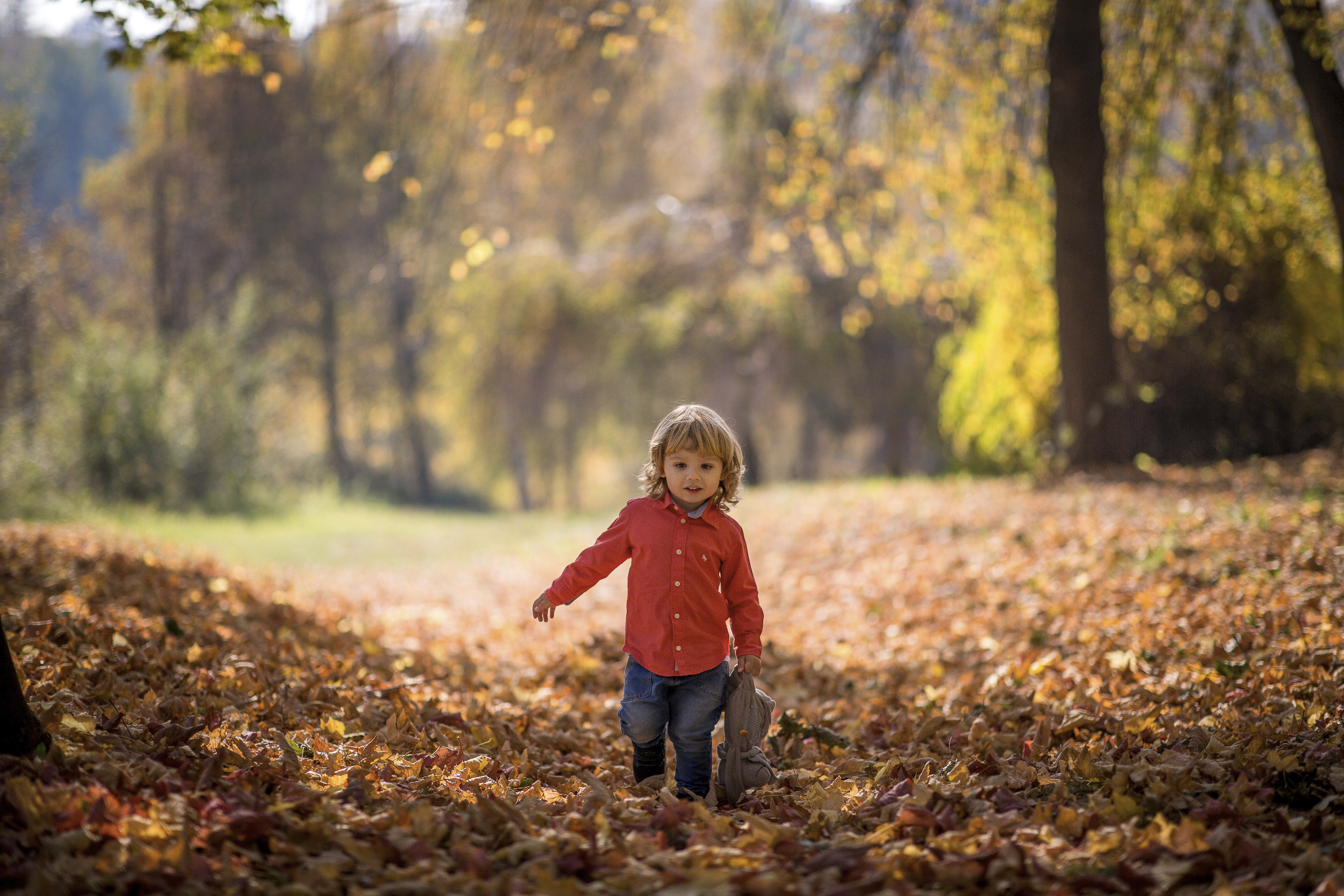 Chłopiec w czerwonej koszuli i jeansach idzie przez park pełen opadłych, brązowych liści, trzymając pluszowego słonia.