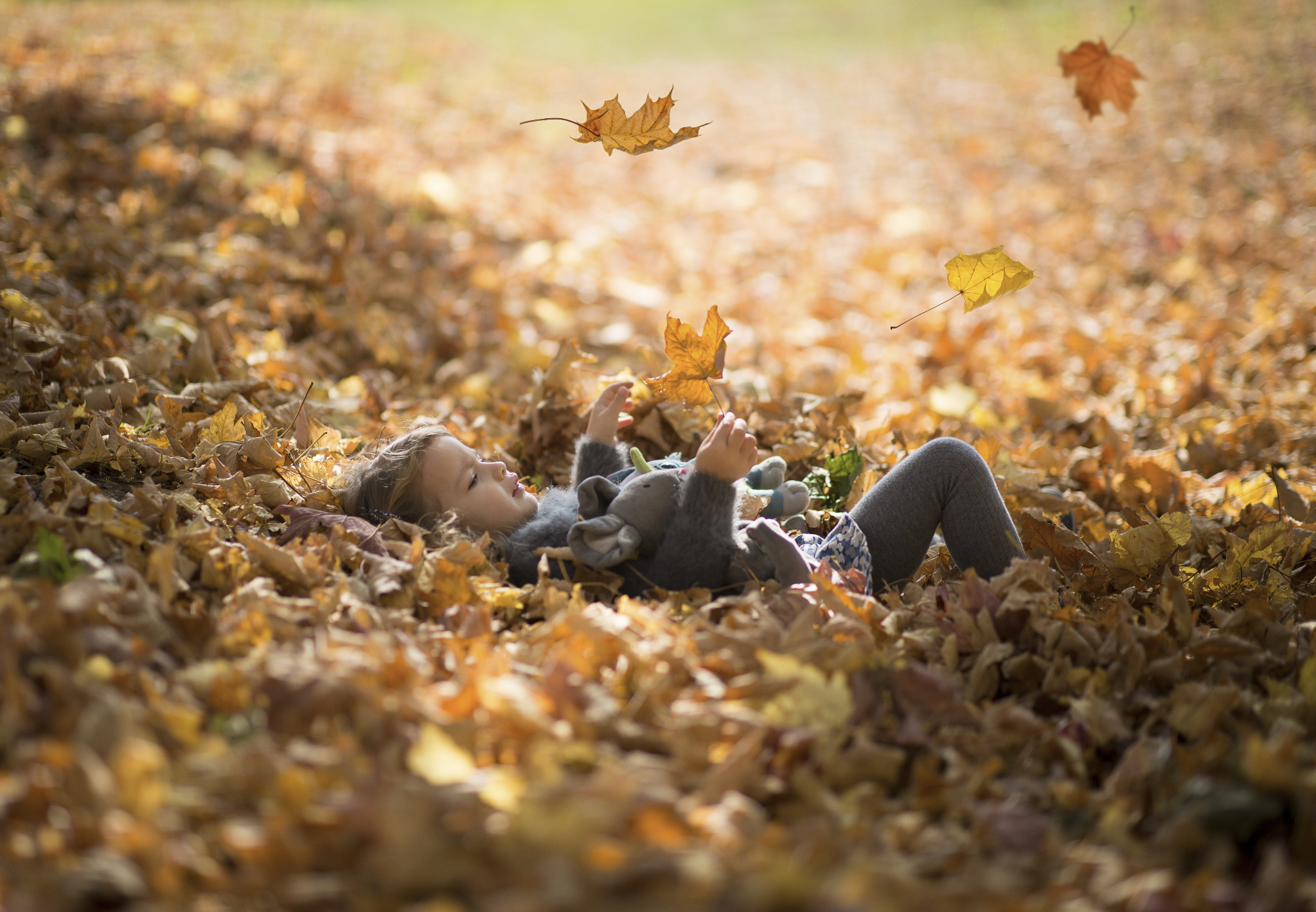 Dziewczynka leży w liściach, trzymając pluszowego słonia, a w powietrzu unoszą się jesienne liście.