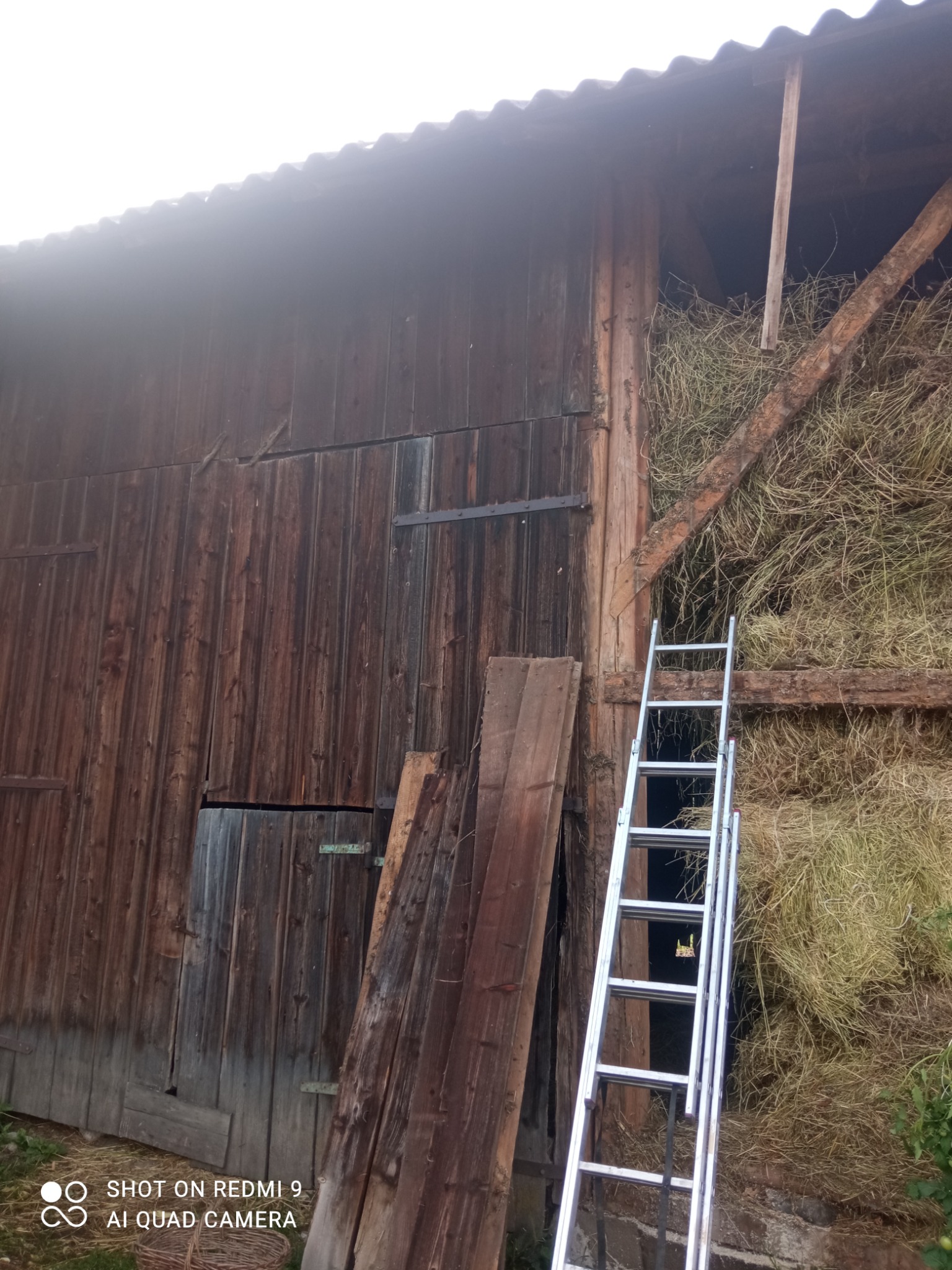 Stara, drewniana stodoła z otwartą przestrzenią wypełnioną sianem, do której oparta jest aluminiowa drabina, z widocznymi deskami opartymi o ścianę.