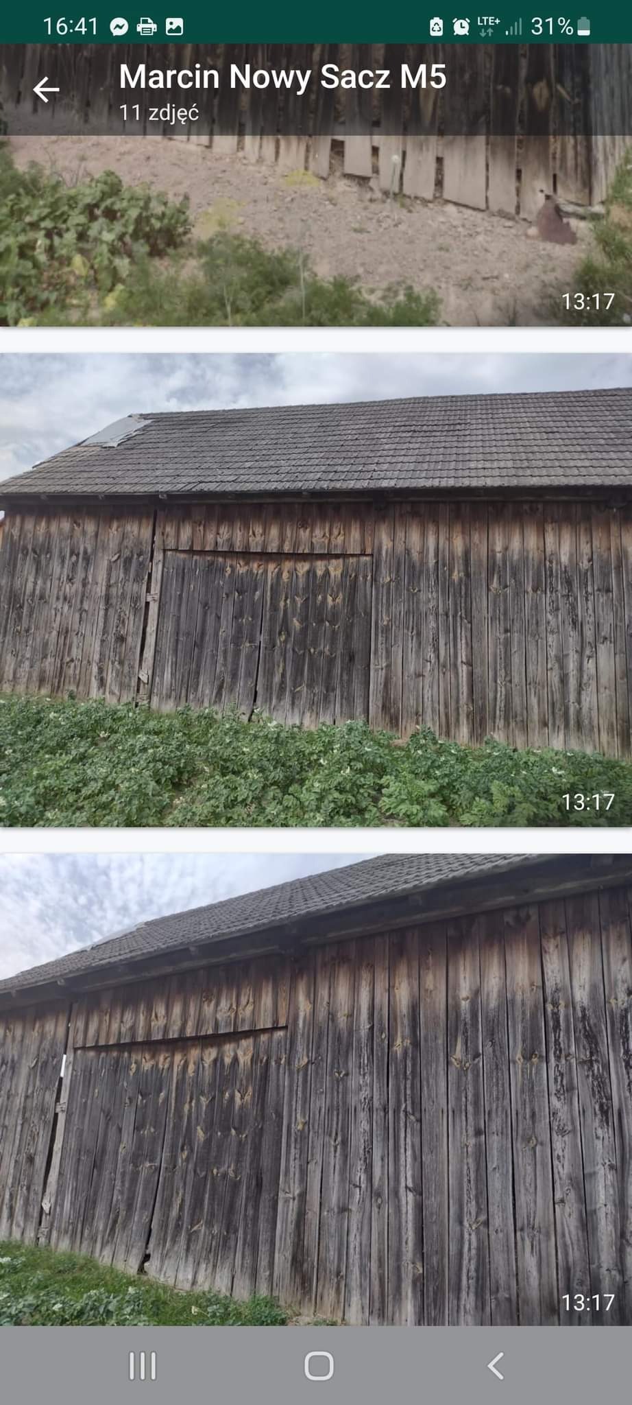 Stara, drewniana stodoła z szarą dachówką, widoczny fragment uszkodzonego dachu, porośnięta roślinnością.