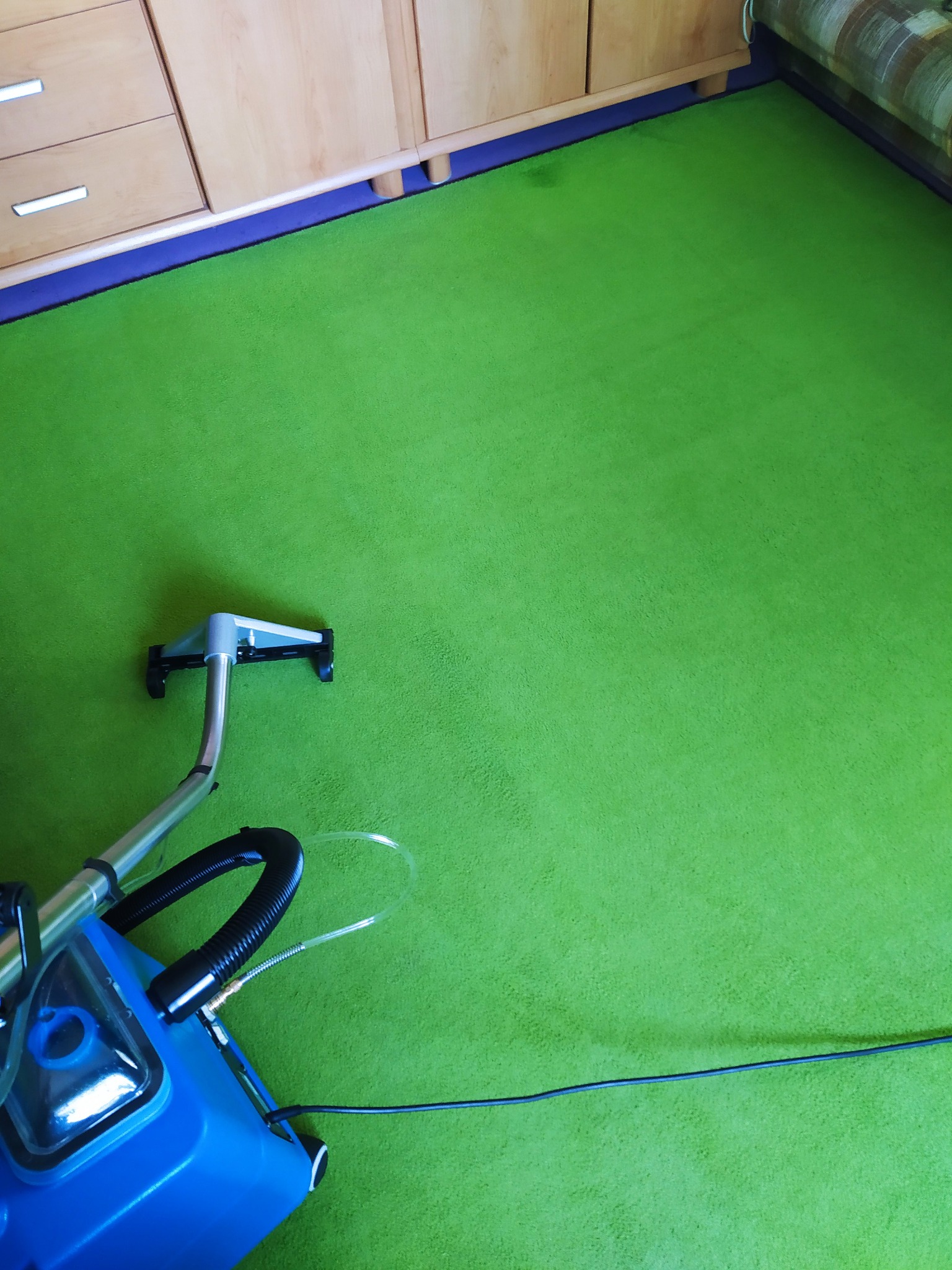 Intensywnie zielony dywan czyszczony profesjonalnym odkurzaczem piorącym z niebieskim korpusem, widoczne ślady wilgoci po czyszczeniu.