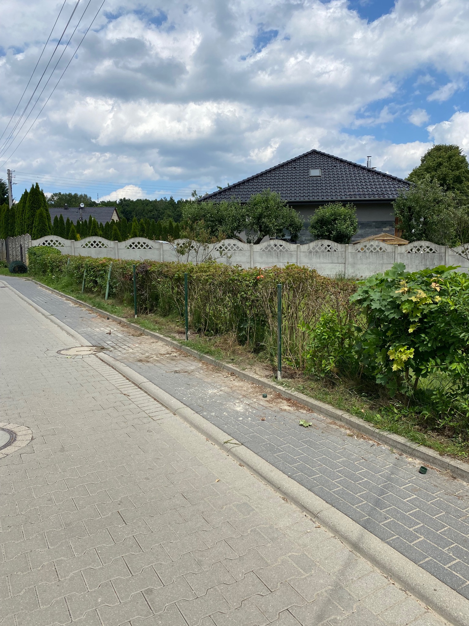 Fragment betonowego ogrodzenia z ażurowym wzorem, przylegający do żywopłotu, w tle dom z ciemną dachówką i zielenią.