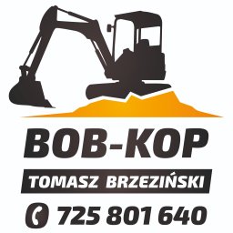 BOB-KOP Tomasz Brzeziński - Pogotowie Elektryczne Radawnica