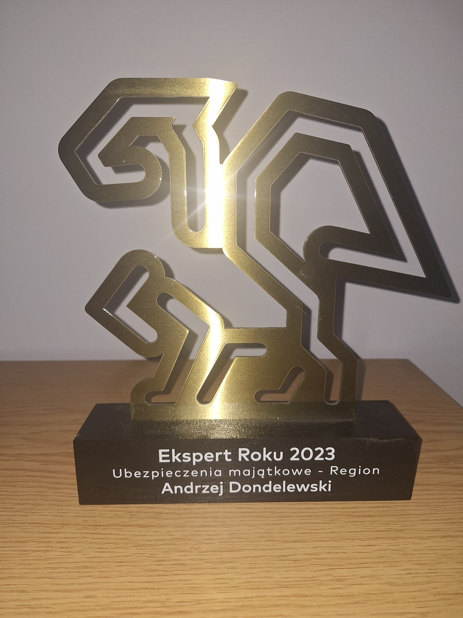 Złota statuetka 'Ekspert Roku 2023 Ubezpieczenia majątkowe - Region Andrzej Dondelewski' na drewnianym blacie.