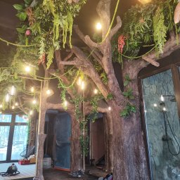 Drzewa te mogą być dobrym pomysłem na Twoje wnętrze