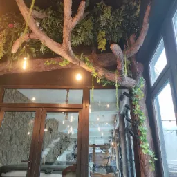 Dekoracyjny sufit z imitacją drzewa i roślinności w lokalu gastronomicznym, oświetlony wiszącymi żarówkami, widoczne okna i drzwi.