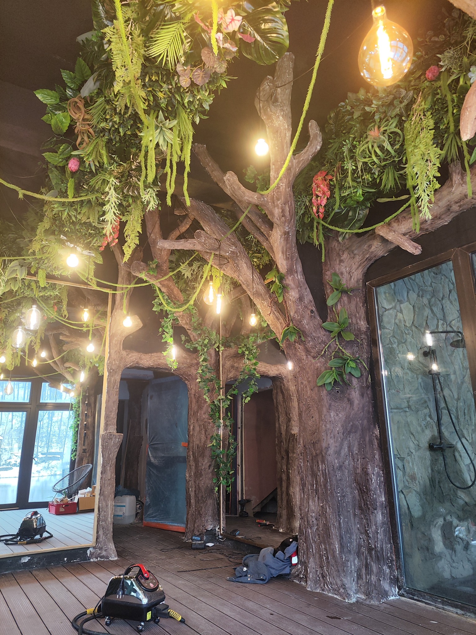 Drzewa te mogą być dobrym pomysłem na Twoje wnętrze