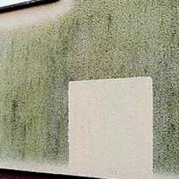 Mycie elewacji Nowe chechło 2