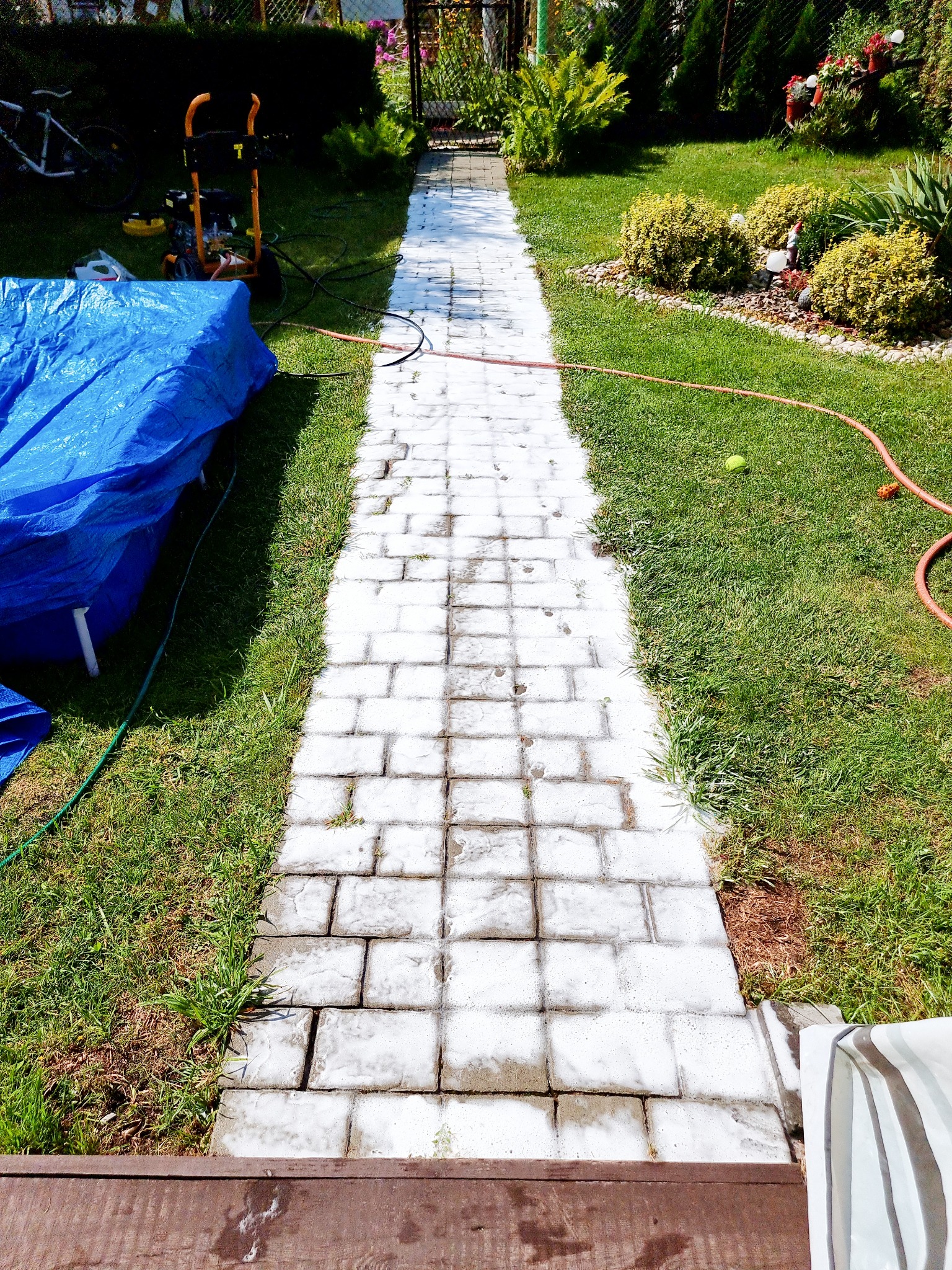 Mycie kostki brukowej na ścieżce w ogrodzie, widoczny efekt czyszczenia, myjka ciśnieniowa i rozłożona plandeka zabezpieczająca rośliny.