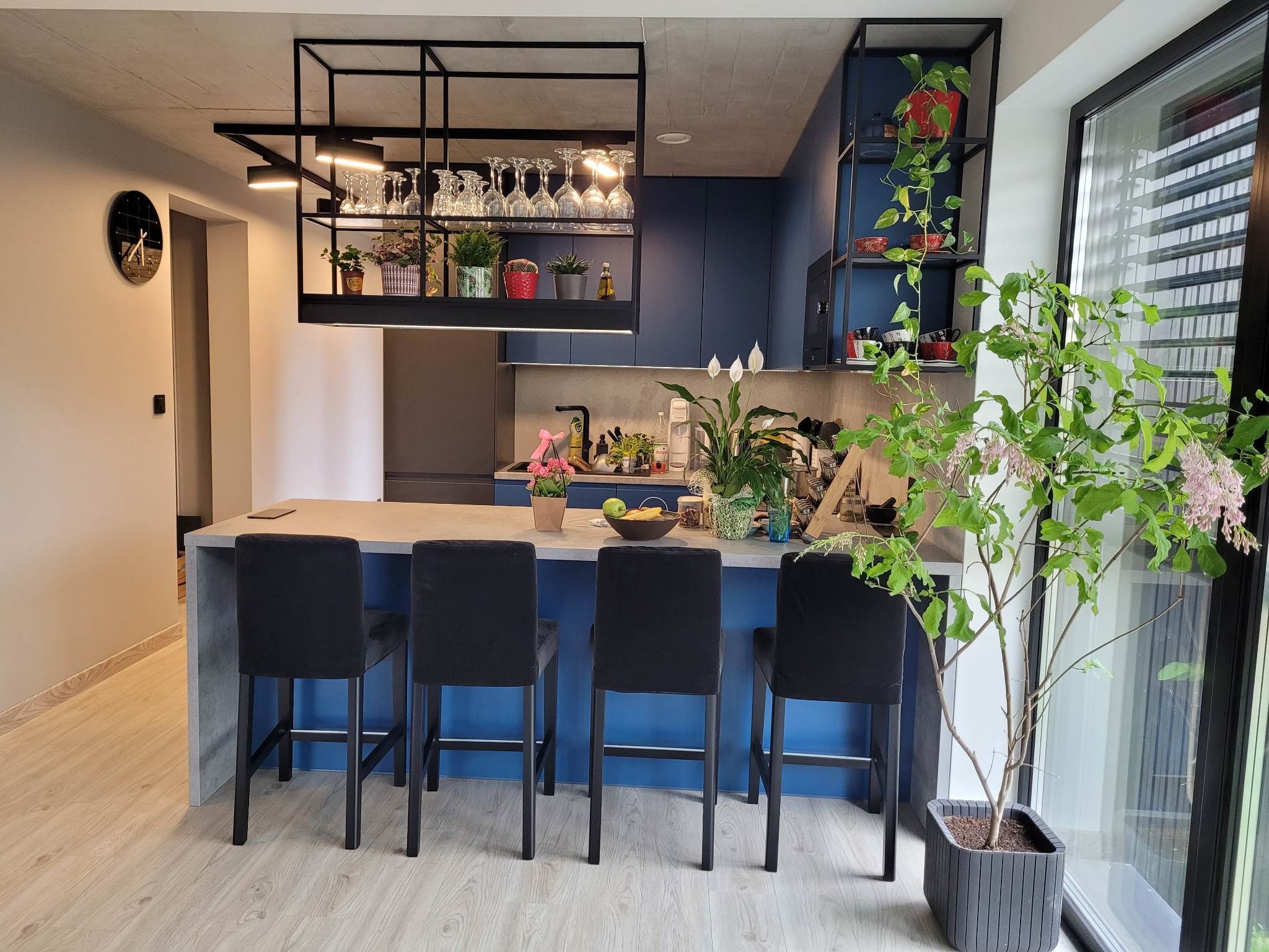 Nowoczesna kuchnia z wyspą, niebieskimi szafkami i czarnymi hokerami. Wisząca metalowa konstrukcja nad wyspą z lampami i szklankami. Dużo roślin doniczkowych.