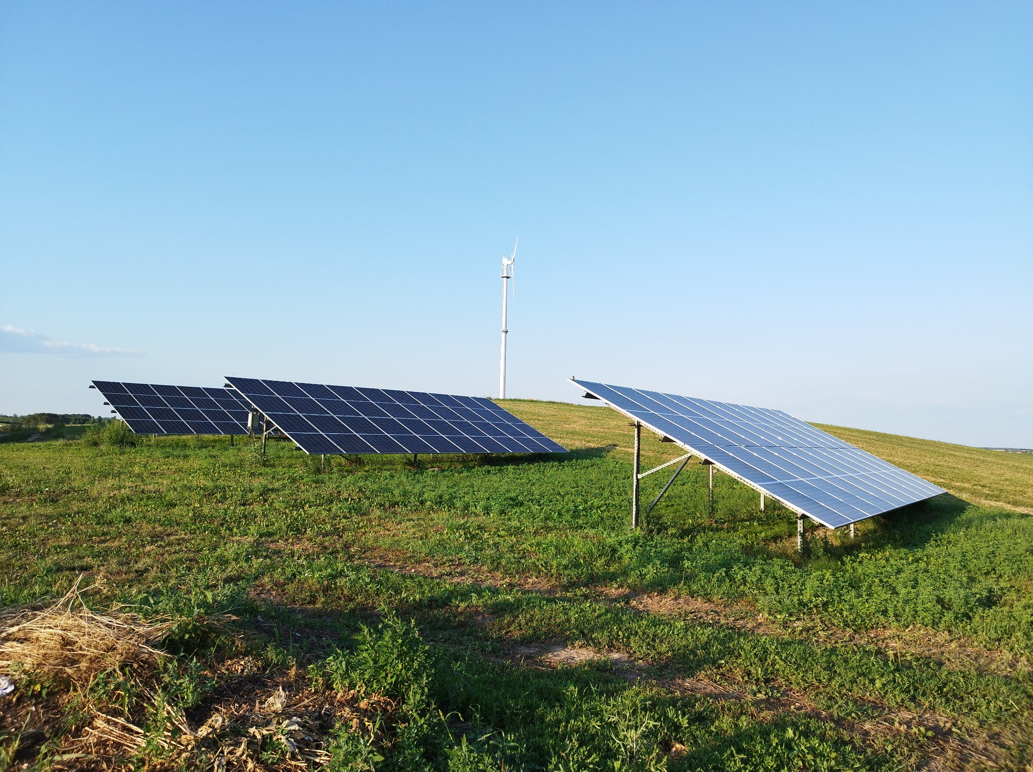 Panele słoneczne na zielonym wzgórzu w słoneczny dzień, z małą turbiną wiatrową w tle.