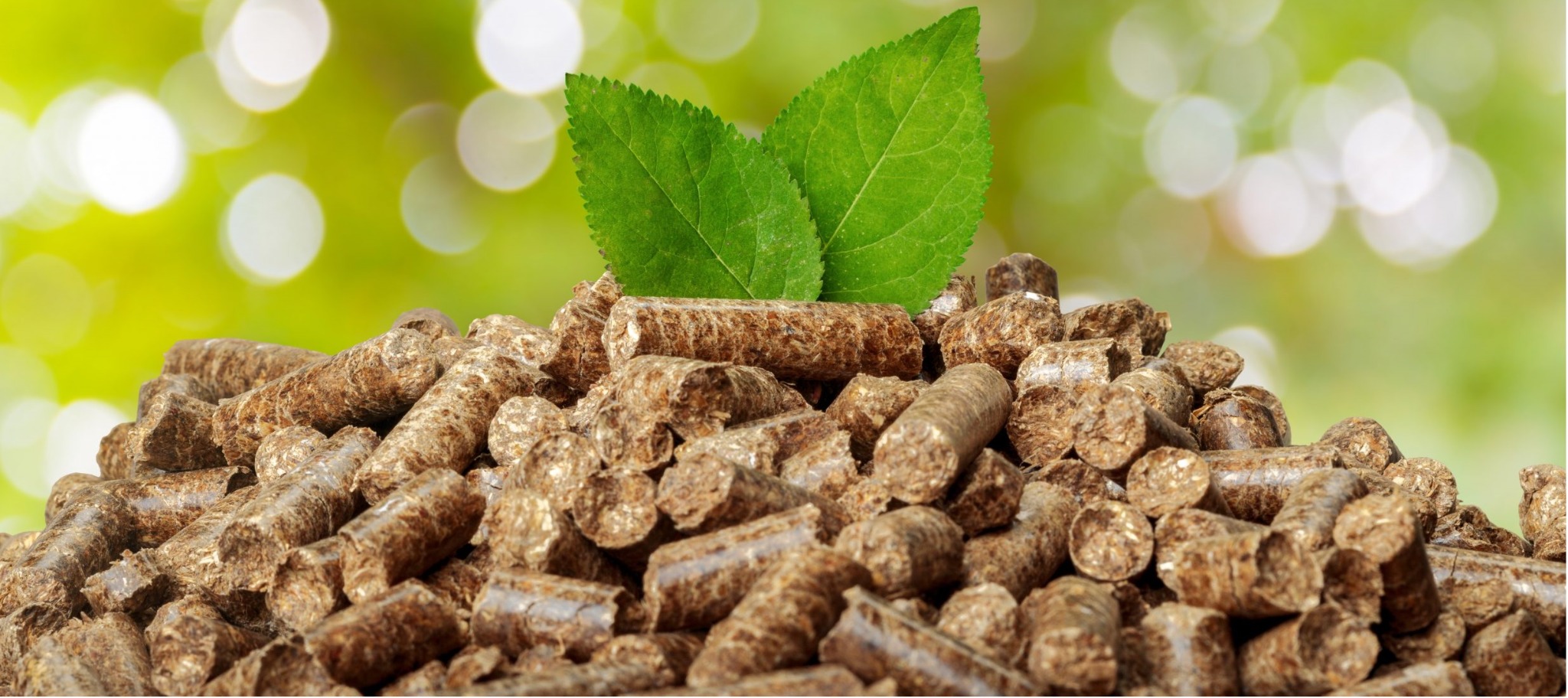Stos brązowych, cylindrycznych granulek z drewna, zwieńczony dwoma zielonymi liśćmi na rozmytym, zielonym tle.