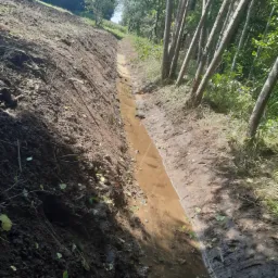 Świeżo wykopany rów melioracyjny wypełniony wodą, biegnący wzdłuż zbocza z młodymi drzewami na skraju lasu, ziemia po bokach z liśćmi i gałązkami.