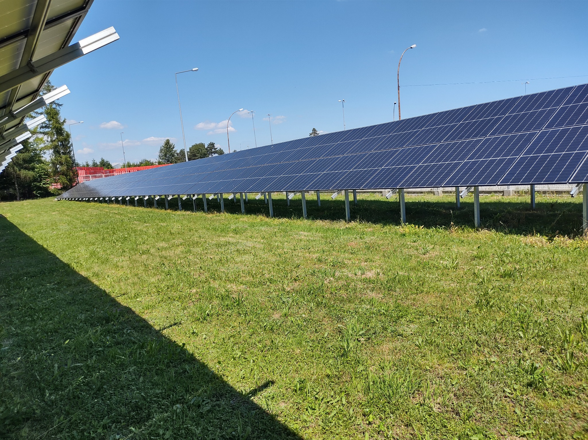 Długi rząd paneli słonecznych na metalowych konstrukcjach, ustawionych na trawiastym terenie w słoneczny dzień, z widocznymi latarniami ulicznymi w tle.