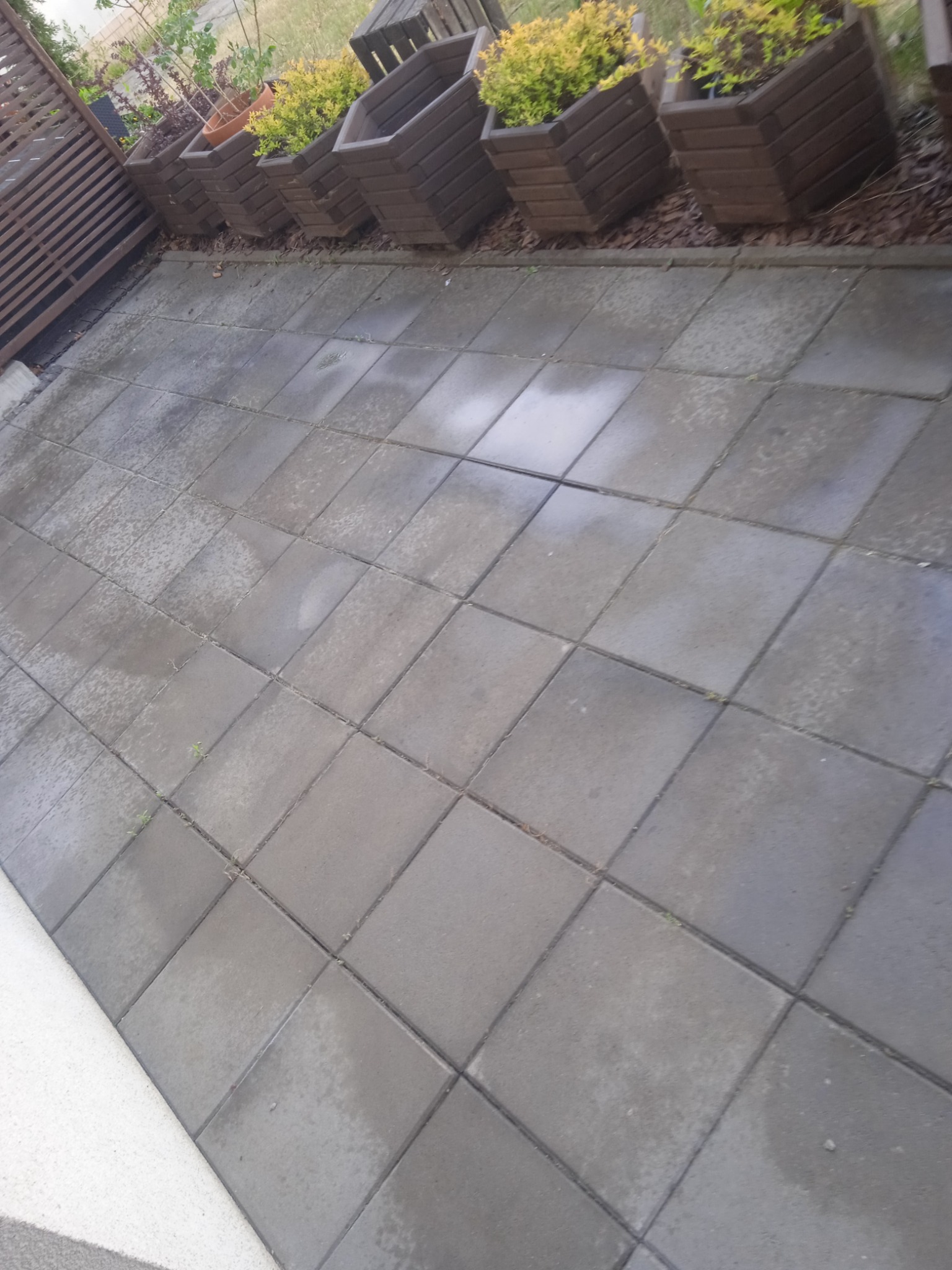 Szare, mokre płytki kostki brukowej po myciu, z widocznymi donicami z roślinami w tle.