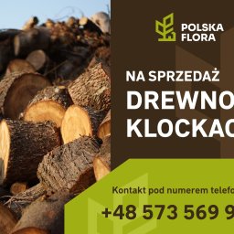 Wycinka drzew Kraków 12