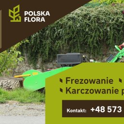 Wycinka drzew Kraków 15