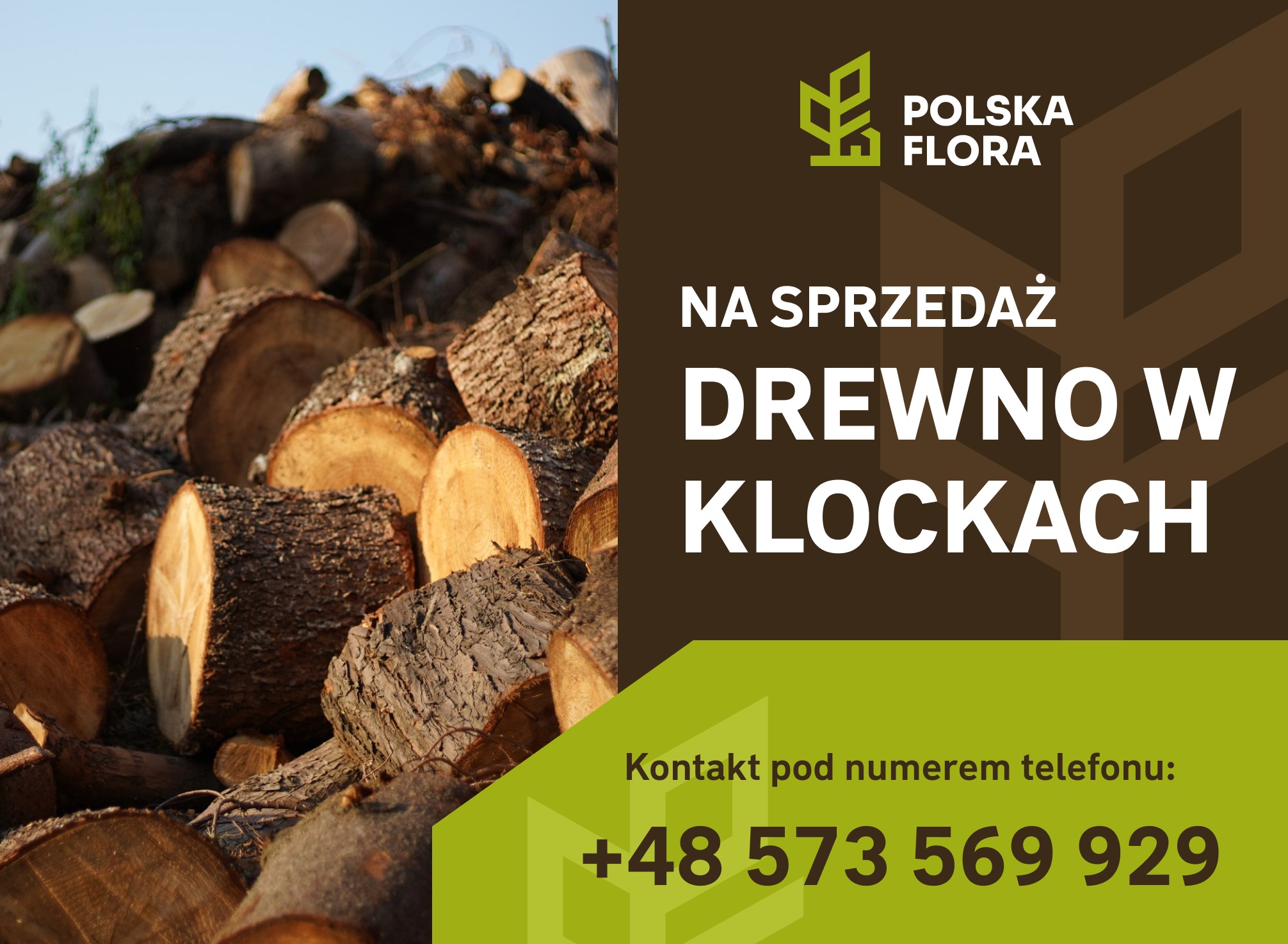 Ogłoszenie firmy Polska Flora: stos pociętego drewna w klockach na sprzedaż, kontakt telefoniczny widoczny na grafice.