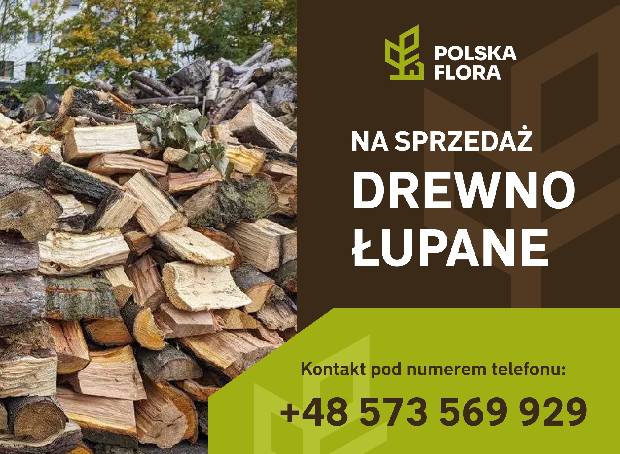 Stos pociętego drewna opałowego na sprzedaż, logo Polska Flora i numer telefonu kontaktowego na grafice reklamowej.