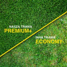 Porównanie trawy z rolki: po lewej gęsta, intensywnie zielona trawa 'Premium+', po prawej rzadsza, jaśniejsza trawa 'Economy-', rozdzielone żółtą linią.