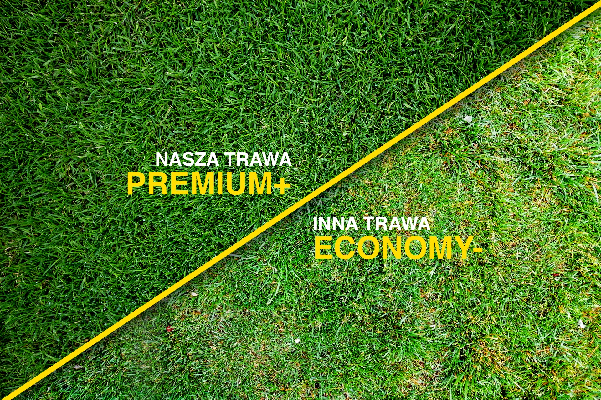Porównanie trawy z rolki: po lewej gęsta, intensywnie zielona trawa 'Premium+', po prawej rzadsza, jaśniejsza trawa 'Economy-', rozdzielone żółtą linią.