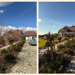 Aleja formowanych drzew i krzewów iglastych wzdłuż kamiennej drogi do posesji. Widoczny samochód dostawczy z przyczepą. Słoneczny dzień, błękitne niebo.