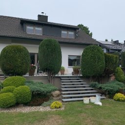 Usługi ogrodnicze Beny The Gardener Michał Bening - Rośliny i podłoża Jelenia Góra