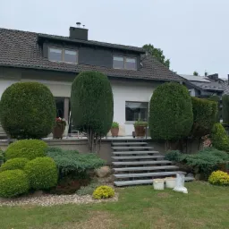 Przycinanie krzewów/modelowanie