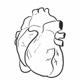 Czarno-biały, uproszczony rysunek anatomicznego serca na białym tle.