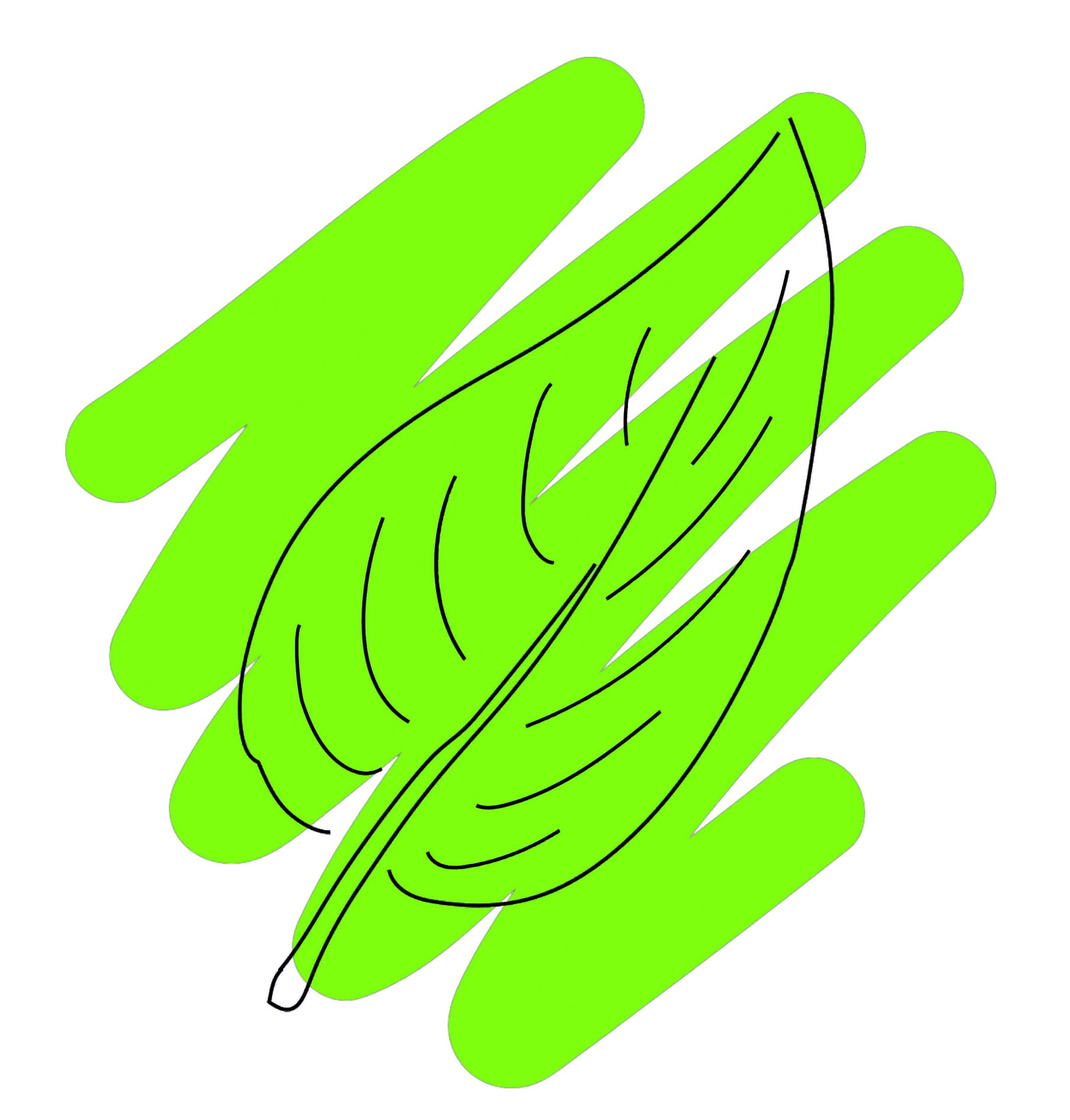 Minimalistyczna ilustracja liścia z czarnym konturem na tle z zielonych, ukośnych pociągnięć pędzlem, na białym tle.