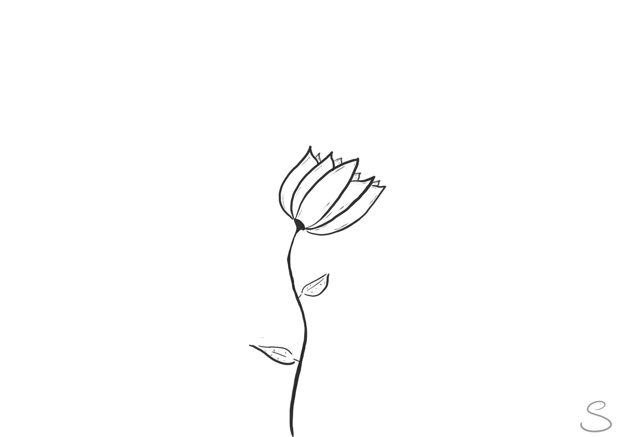 Prosty, czarno-biały szkic kwiatu z dwoma liśćmi na długiej łodydze, umieszczony centralnie na białym tle.