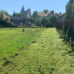 HEFEST GROUP SPÓŁKA Z OGRANICZONĄ ODPOWIEDZIALNOŚCIĄ - Połowa trawnika skoszona, z wyraźną linią podziału między wysoką a krótko przystrzyżoną trawą, w tle zabudowa wiejska z kościołem.