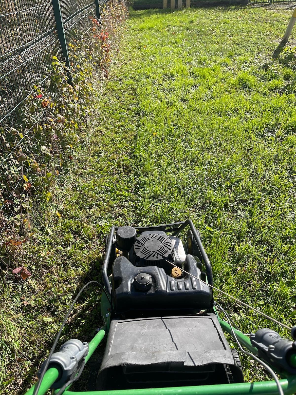 Widok z perspektywy operatora na kosiarkę spalinową podczas pracy na trawniku przy metalowym ogrodzeniu z gęstą roślinnością.