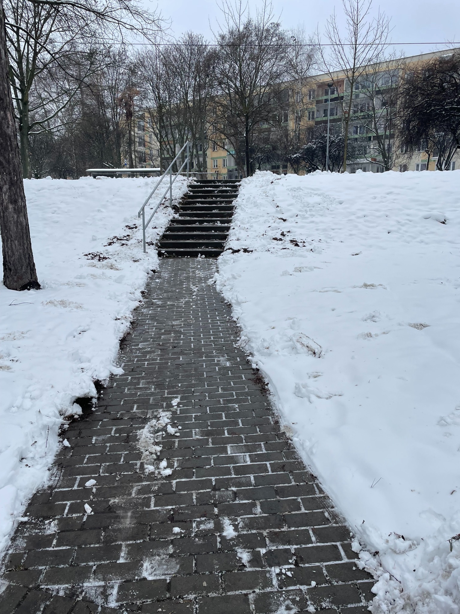 Zimowy krajobraz: Ścieżka z kostki brukowej prowadząca do schodów na wzgórzu, pokryta śniegiem, z drzewami w tle i budynkiem mieszkalnym w oddali.