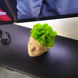 Lakosta - Projekty Domów Jednorodzinnych Łódź